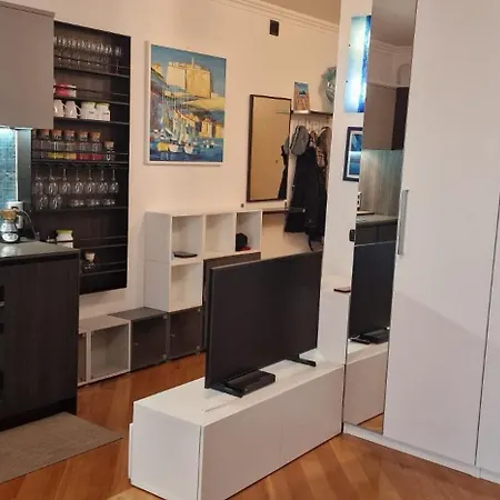 Accogliente Monolocale Zona Eur-roma * Rome